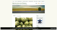 Desktop Screenshot of briciolanellatte.com
